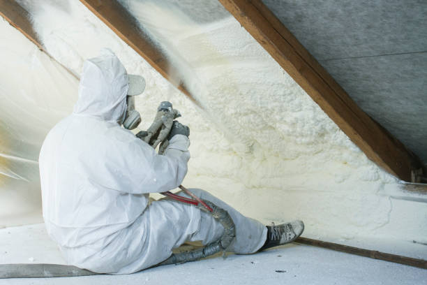 Professional Insulation Services in Miamitown, OH