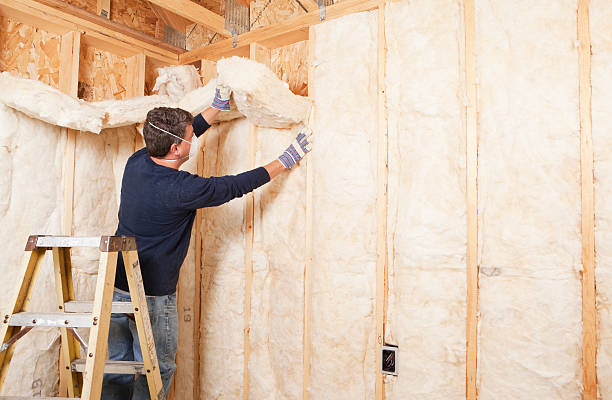 Best Basement Insulation  in Miamitown, OH